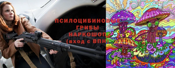 apvp Зеленокумск